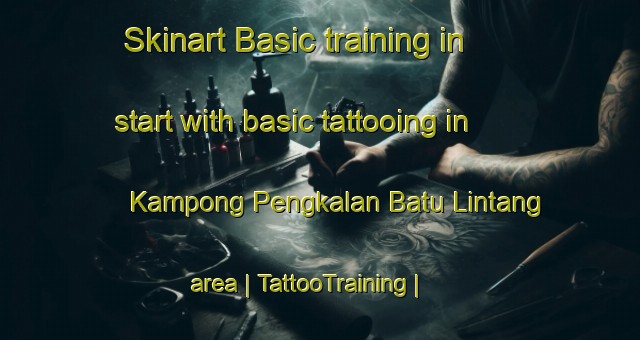 Skinart Basic training in start with basic tattooing in Kampong Pengkalan Batu Lintang area | TattooTraining | TattooClasses | SkinartTraining-Malaysia